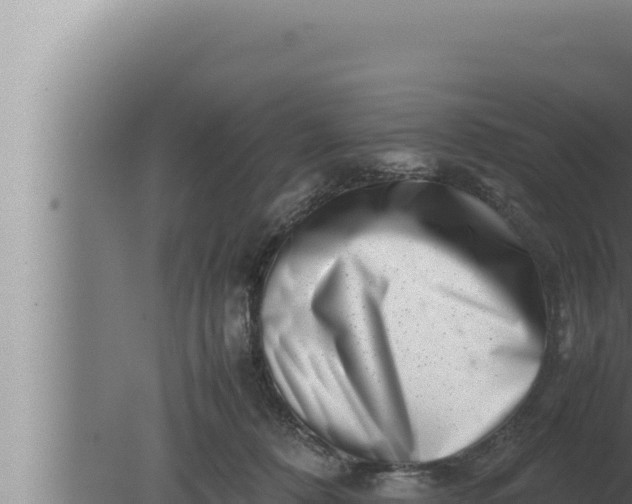 X0000080110320200612221811