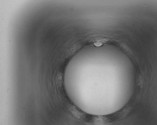 X0000080110321200612221811