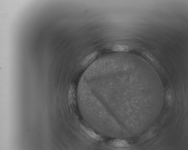 X0000080110322200612221811