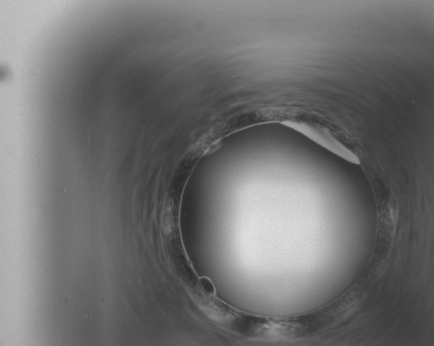 X0000080110323200612221811