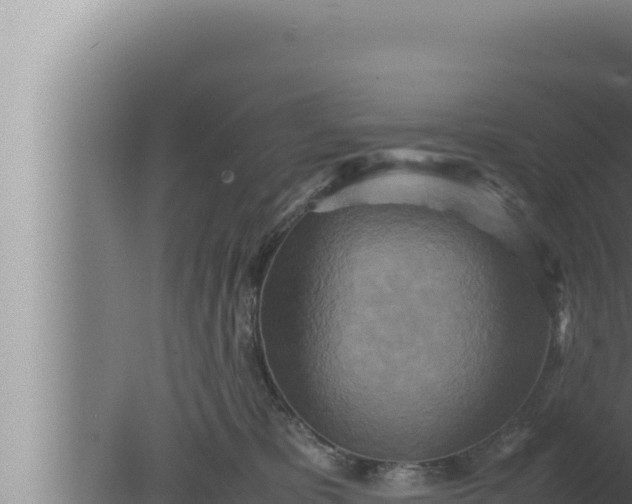 X0000080110325200612221811