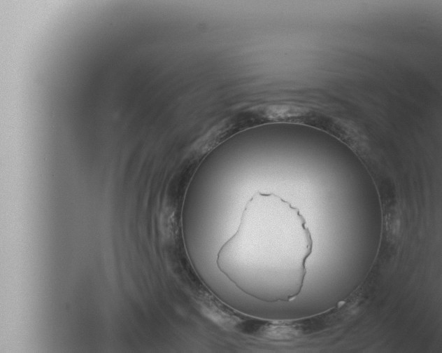 X0000080110327200612221811