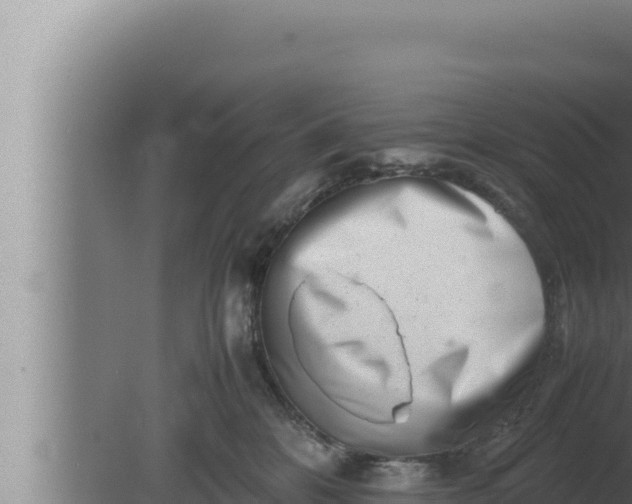 X0000080110328200612221811