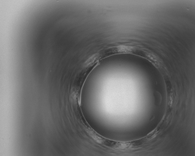 X0000080110329200612221811