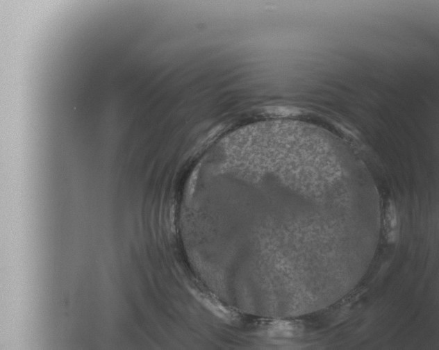 X0000080110330200612221811