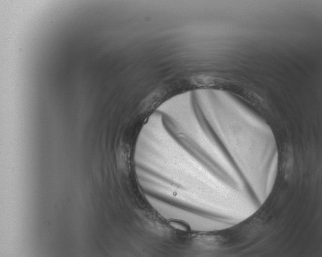 X0000080110332200612221811