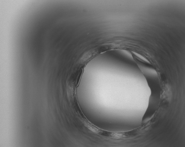 X0000080110333200612221811