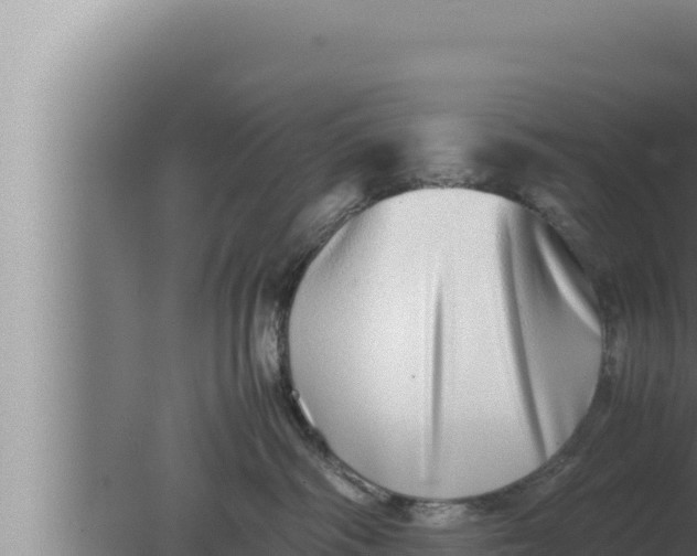 X0000080110334200612221811