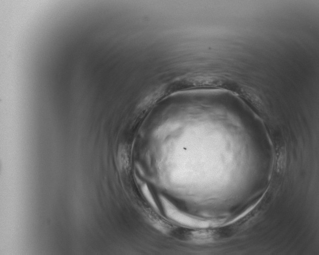 X0000080110335200612221811