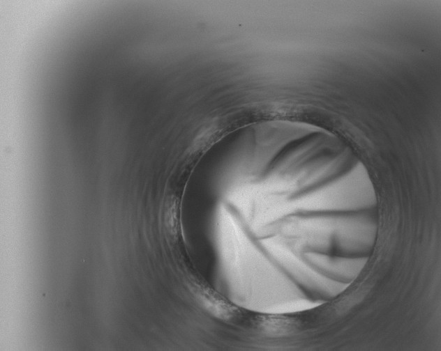 X0000080110336200612221811