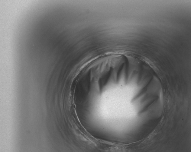 X0000080110338200612221810