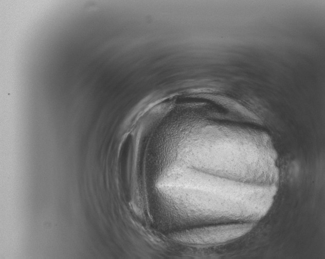 X0000080110339200612221810