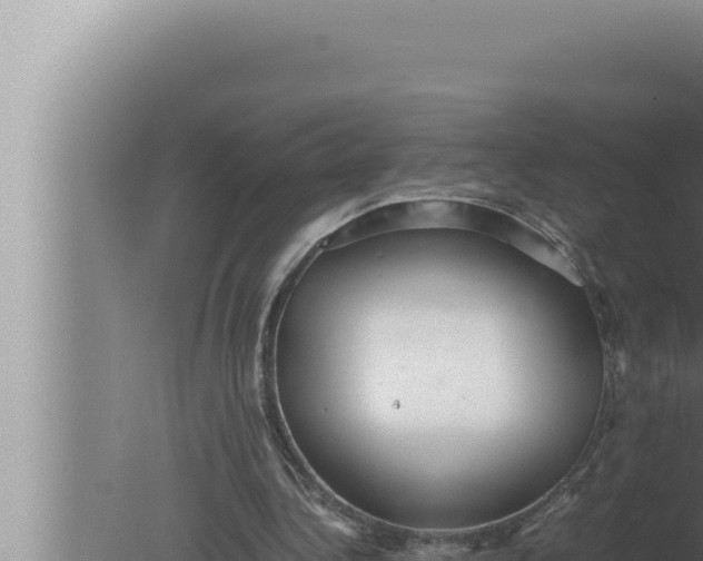 X0000080110340200612221810