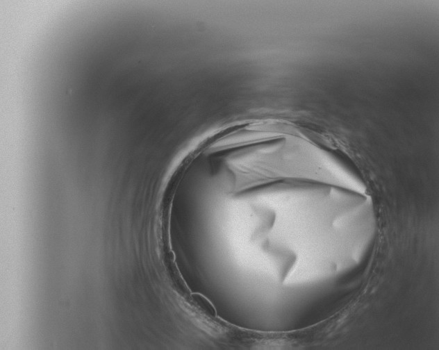 X0000080110342200612221810