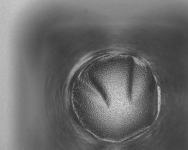 X0000080110343200612221810