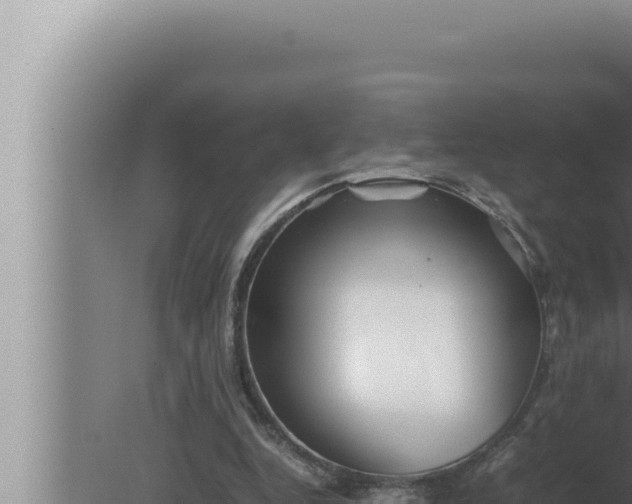 X0000080110344200612221810