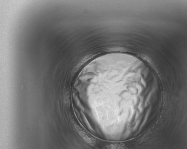 X0000080110345200612221810