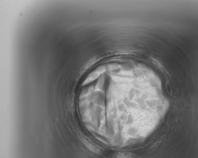 X0000080110346200612221810