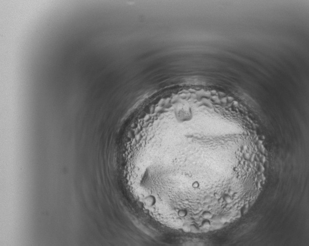 X0000080110347200612221810