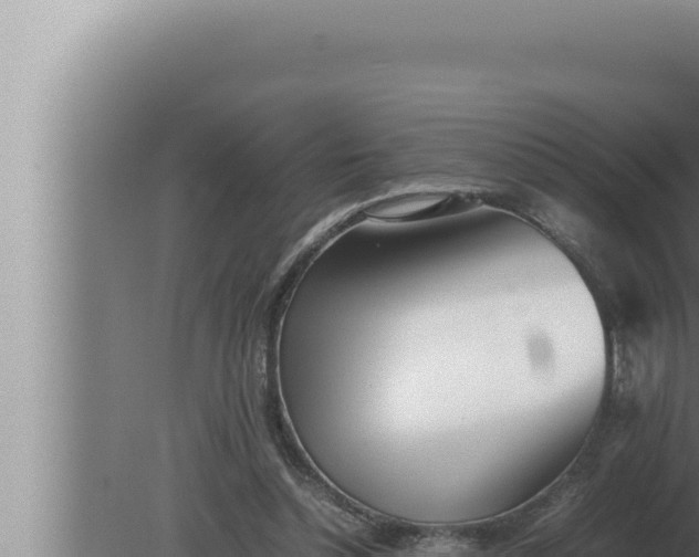 X0000080110348200612221810