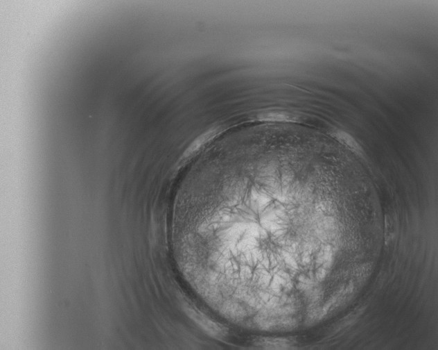 X0000080110349200612221810