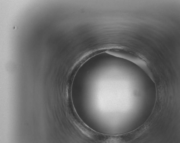 X0000080110350200612221810