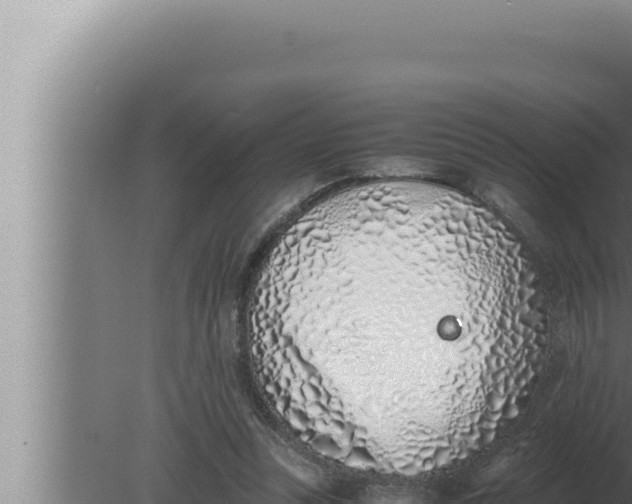 X0000080110351200612221810