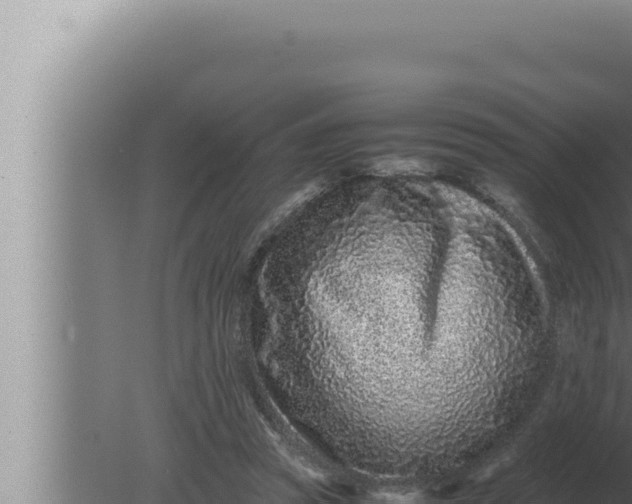 X0000080110353200612221810