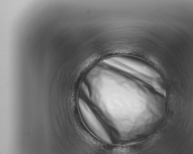 X0000080110354200612221810