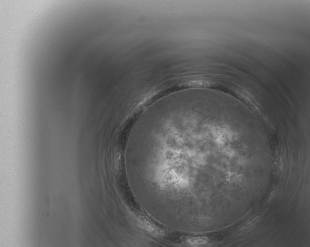 X0000080110355200612221810