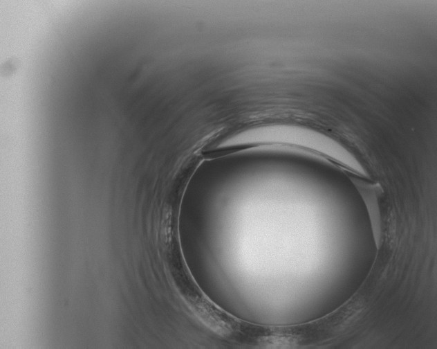 X0000080110356200612221810