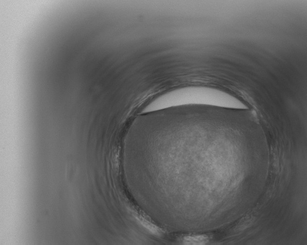 X0000080110357200612221810