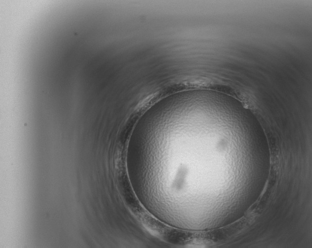 X0000080110360200612221811