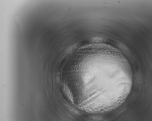 X0000080110361200612221811