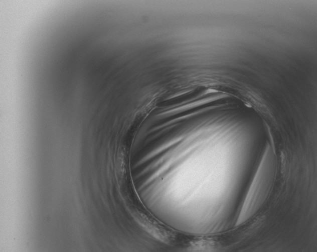 X0000080110362200612221811