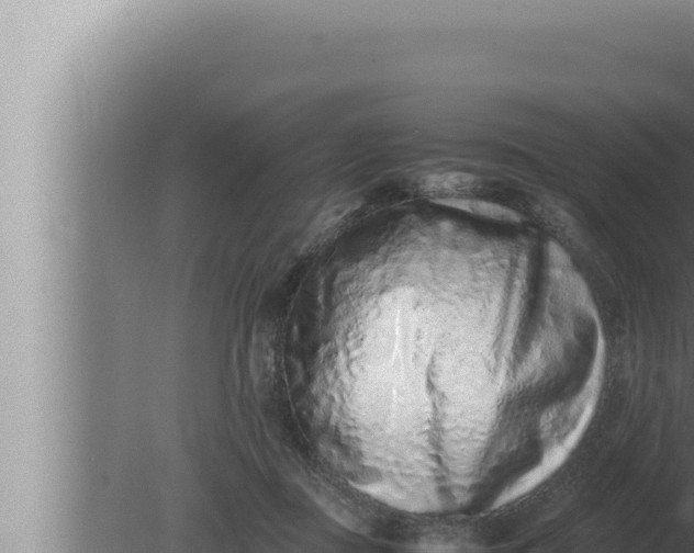 X0000080110363200612221811