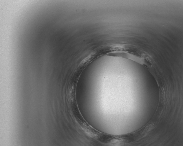 X0000080110364200612221811