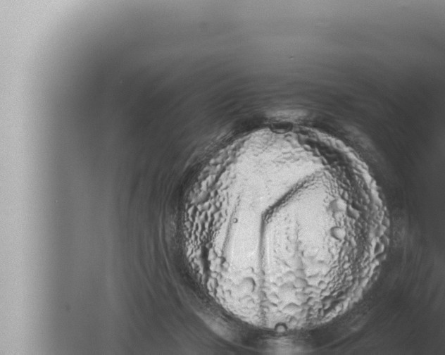 X0000080110365200612221811