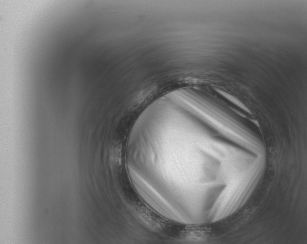 X0000080110368200612221811