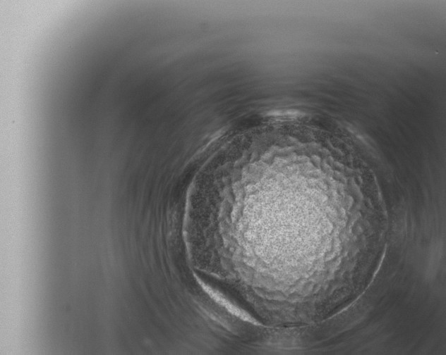 X0000080110369200612221811