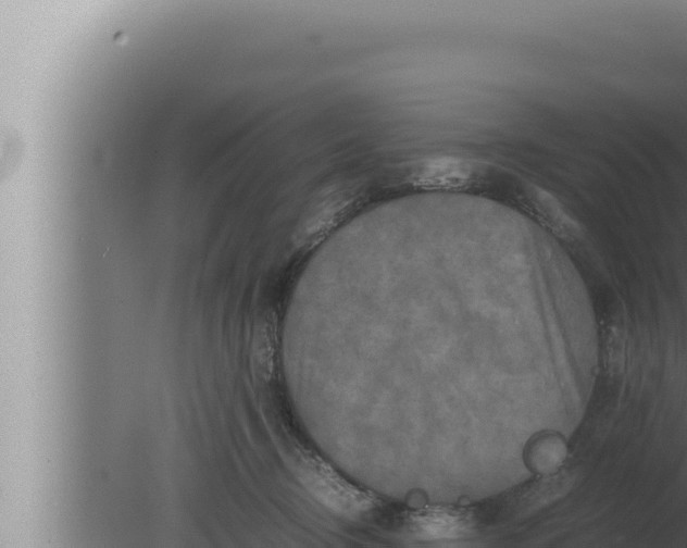 X0000080110370200612221811