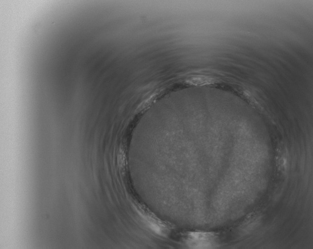 X0000080110371200612221811