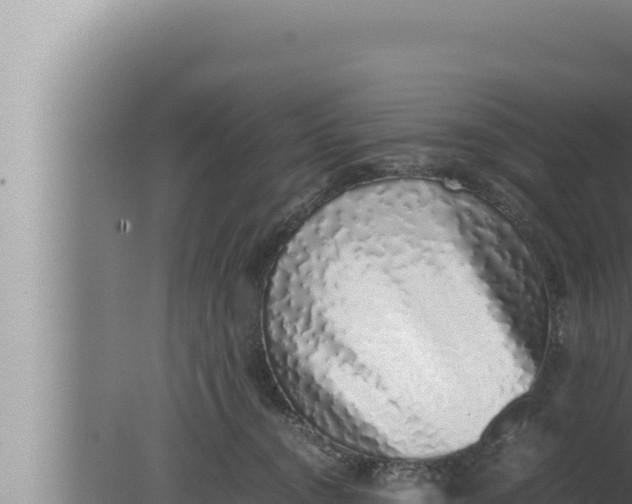 X0000080110372200612221811