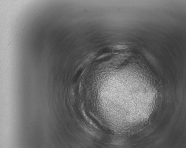 X0000080110373200612221811