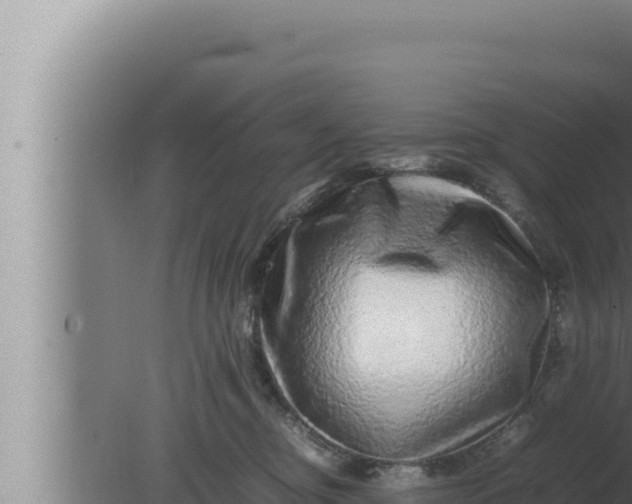 X0000080110374200612221811