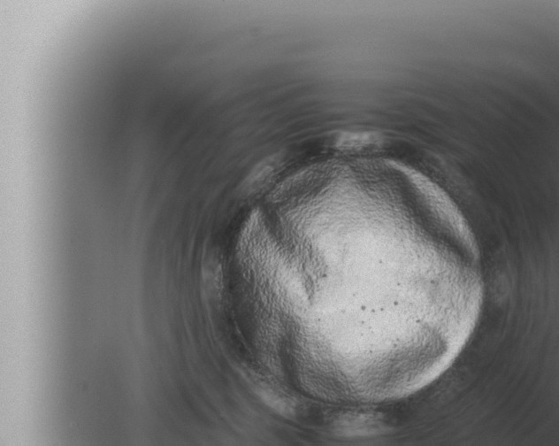 X0000080110375200612221811