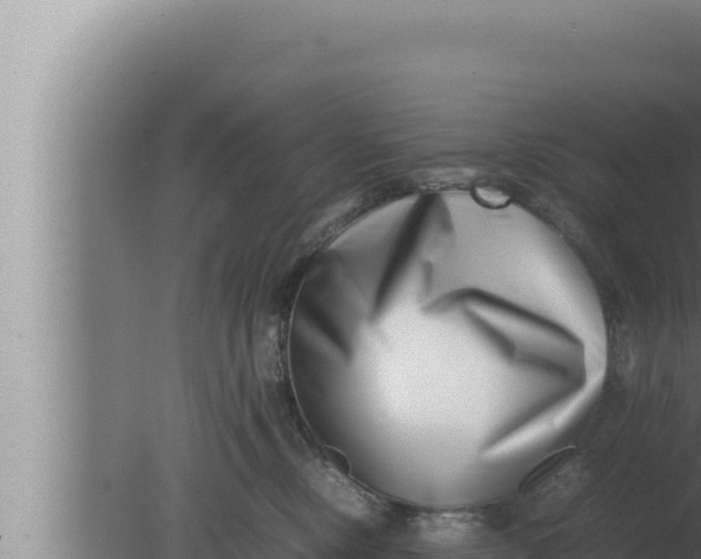 X0000080110378200612221811