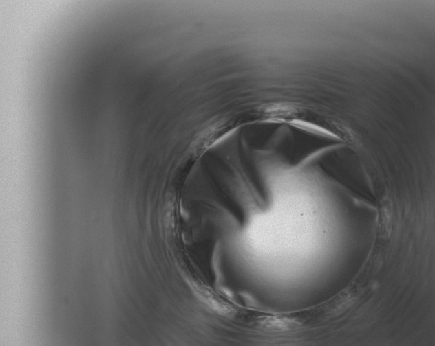 X0000080110379200612221811