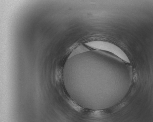 X0000080110382200612221811