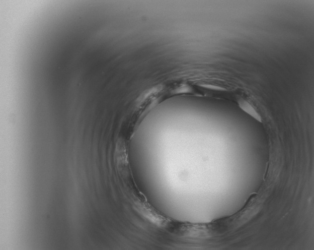 X0000080110384200612221811